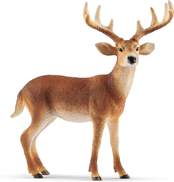 Schleich 14818 White-tailed buck