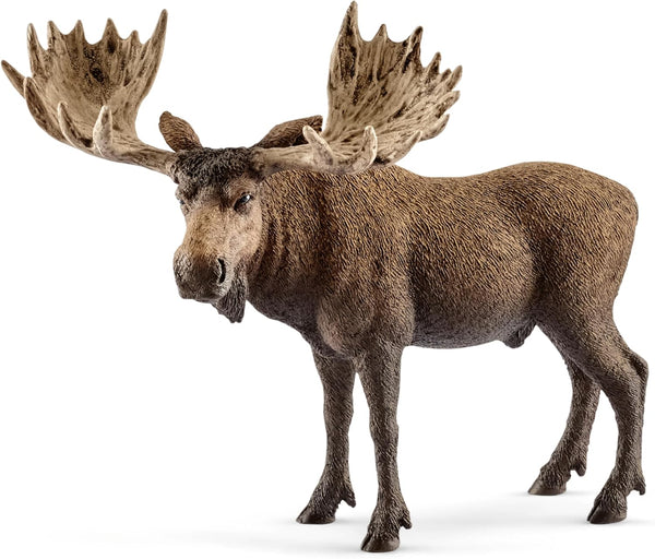 Schleich 14781 Moose Bull