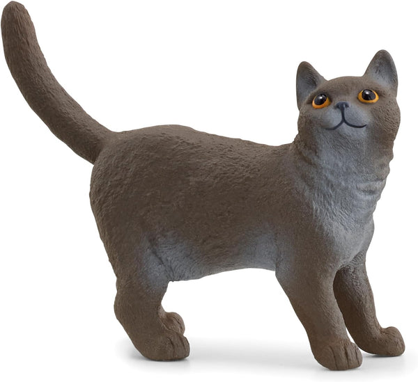 Schleich 139673 British Shorthair Cat