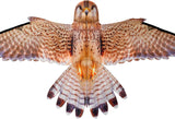 Brookite Kestrel Kite