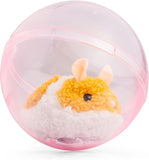Running Hamster