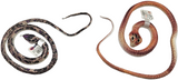 Rubber Snake
