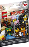 LEGO ® 71019 Minifigure, The Lego Ninjago Movie, Series 1
