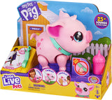 Little Live Pets My Walking Pig - Piggly
