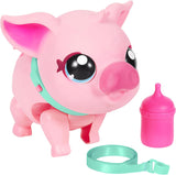 Little Live Pets My Walking Pig - Piggly