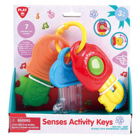 Senses Activity Key