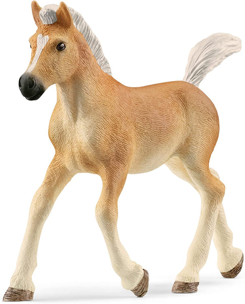 Schleich 13951 Haflinger Foal