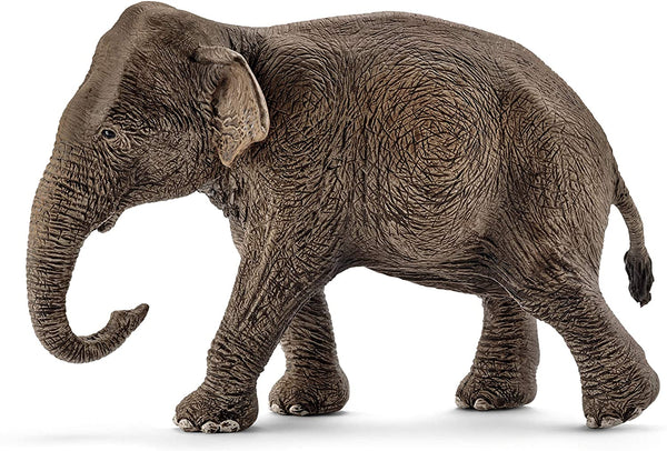 Schleich 14753    Asian elephant, female