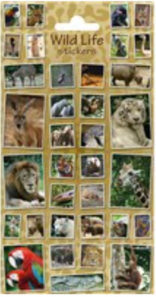 Sticker Sheet - Wild life